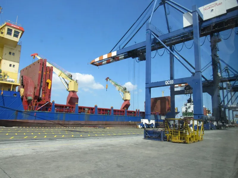Soporte de Exportación y Normativa